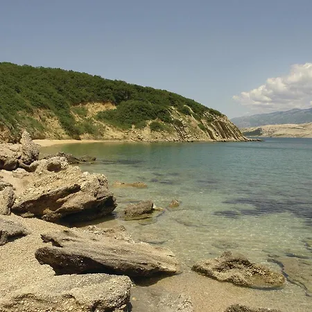 In Bosana With Wifi